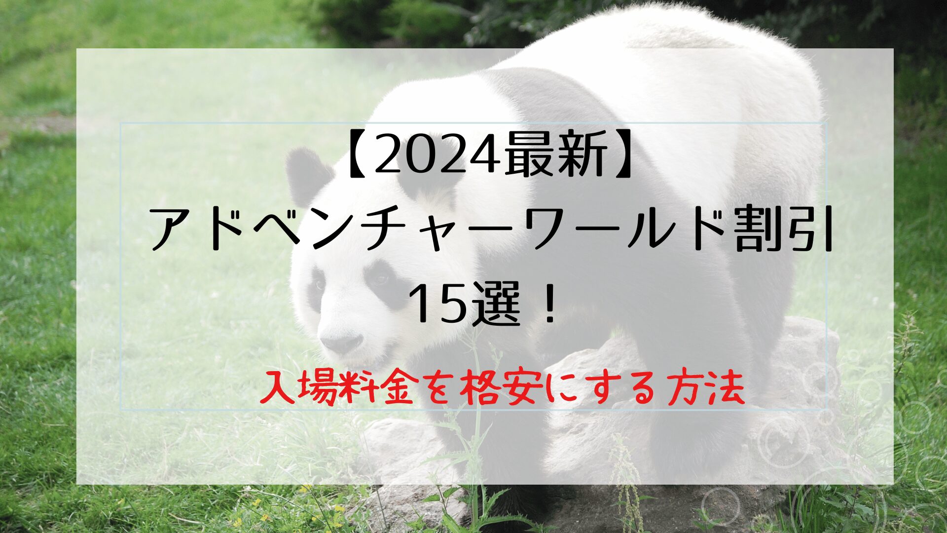 【2024最新】アドベンチャーワールド割引15選！入場料金を格安にする方法